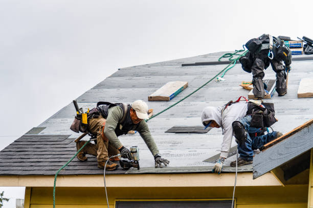 Professional Roofing technician working in West Finley, PA